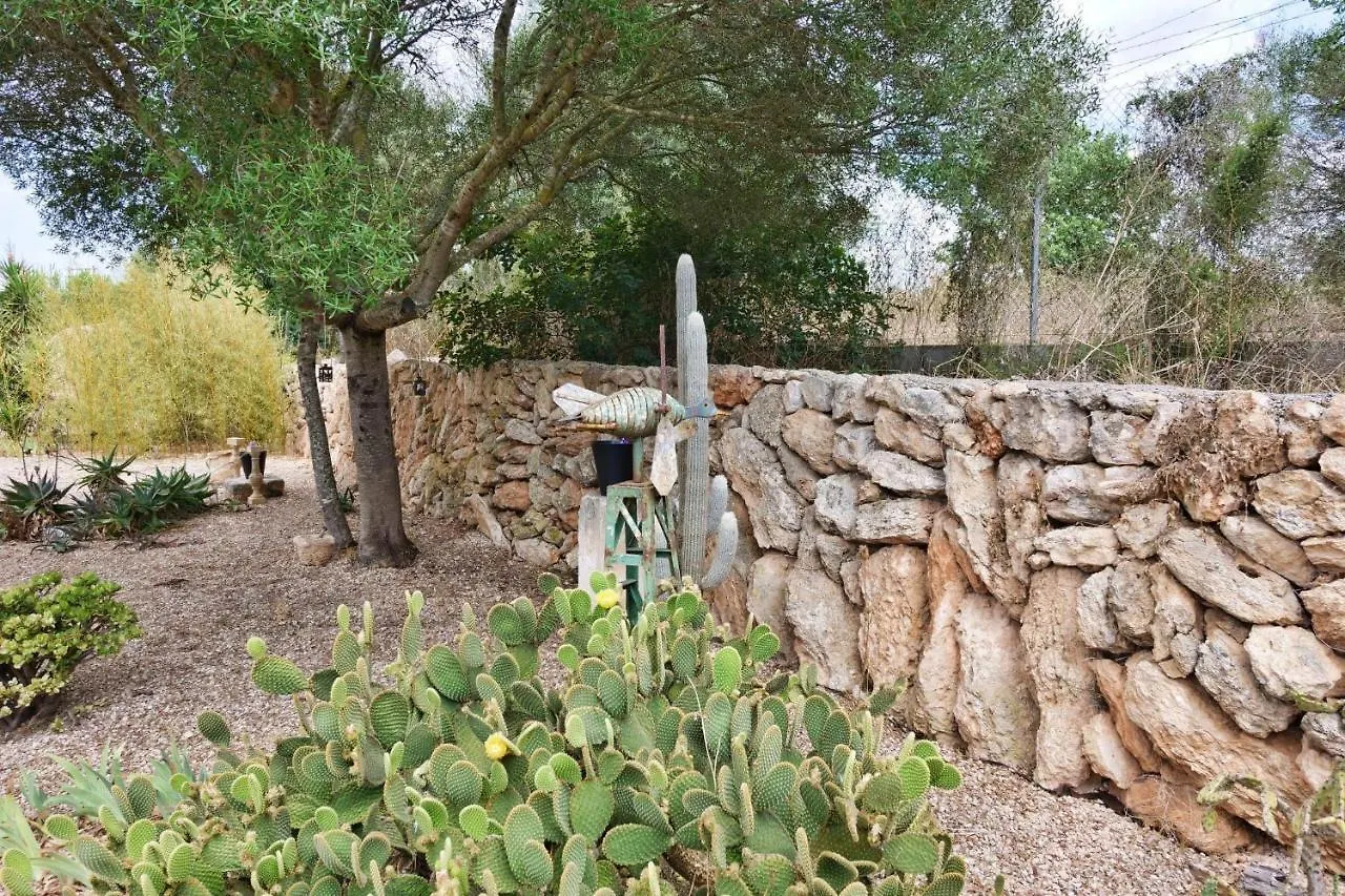 Sargantana Nova Villa Llucmajor  Spain