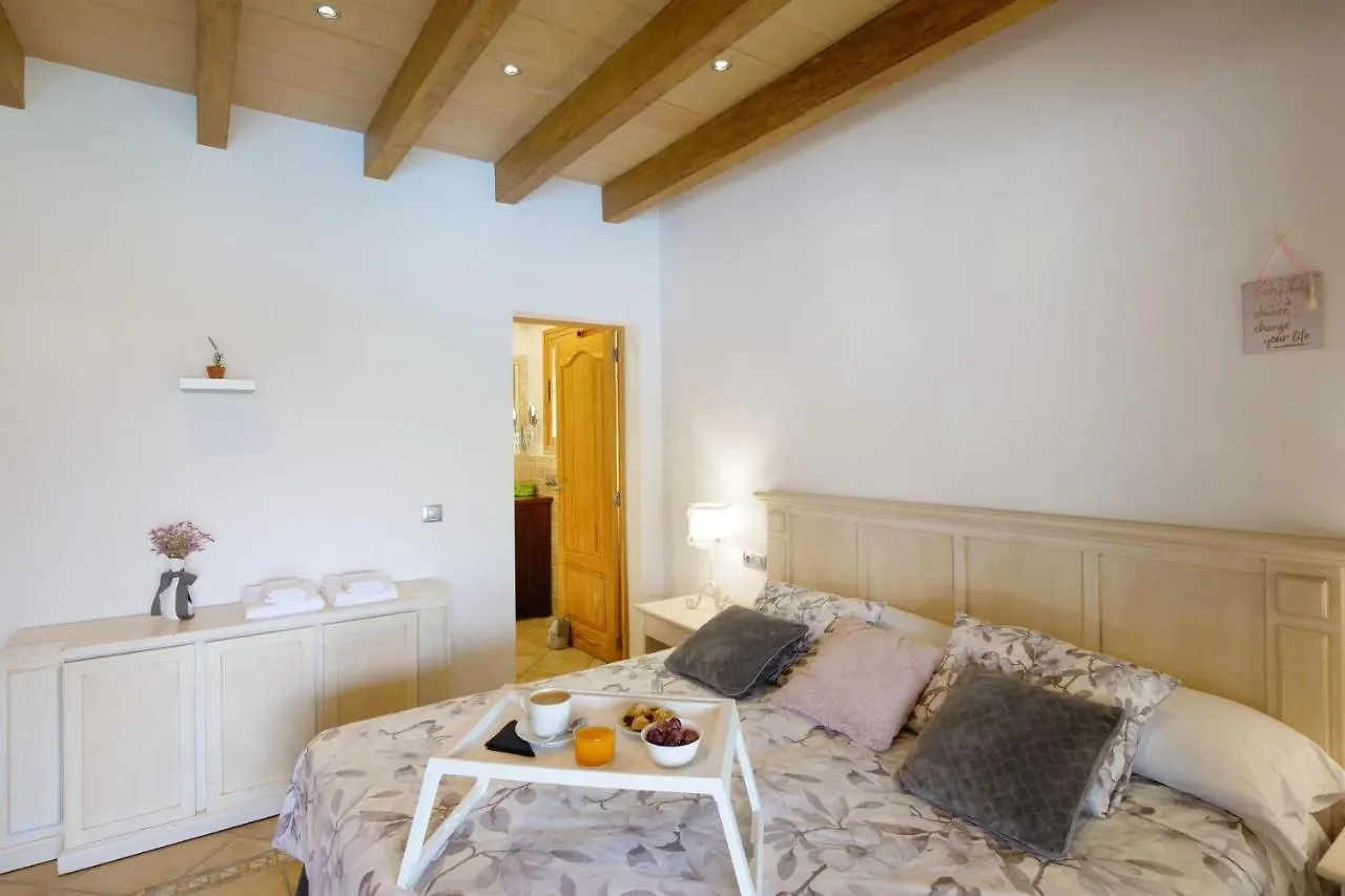 Sargantana Nova Villa Llucmajor