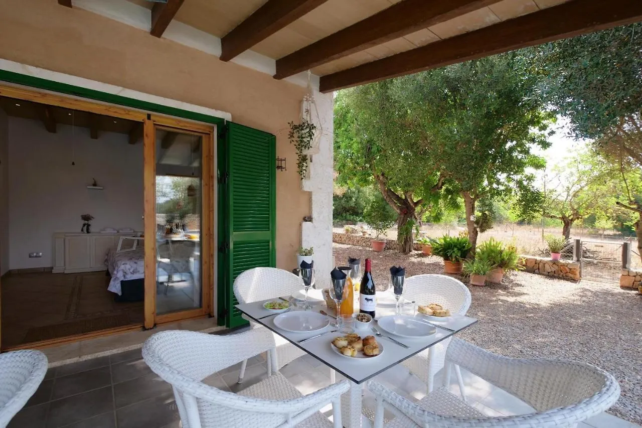 Sargantana Nova Villa Llucmajor  Spain